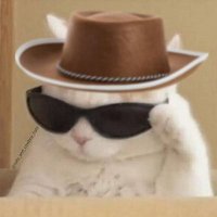 SiMonstre (@samslerageux) 's Twitter Profile