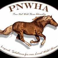Pine Nut Wild Horse Advocates (@nutadvocates) 's Twitter Profile Photo