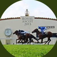 Oghill House Stud(@OghillHouseStud) 's Twitter Profile Photo