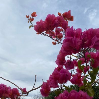 CXGXRX's profile picture. 