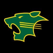 The official basketball page for the PHS Lady Panthers GBB Team. 🏀🏀🐾💚💛🐾 🏀🏀Head Coach: @Calvert_RaShawn