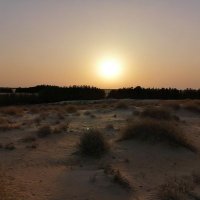 خالد خالد (@z39ugfeldqy01ul) 's Twitter Profile