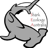 Shark Ecology Australia (SEA) (@sharkecoaus) 's Twitter Profile Photo Shark Ecology Australia (SEA) (@sharkecoaus) 's Twitter Profile Photo