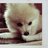 iiwuiiwu's profile image