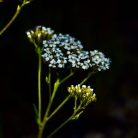 JABOK (@jabokbeats) 's Twitter Profile