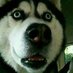 whl (@whl63877236) Twitter profile photo whl (@whl63877236) Twitter profile photo