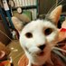 牛屋のお母ちゃん (@gehidfaitlkjmjc) Twitter profile photo 牛屋のお母ちゃん (@gehidfaitlkjmjc) Twitter profile photo