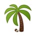 Coconut Lands (@CoconutLands) Twitter profile photo