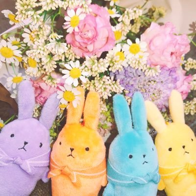 きなこ