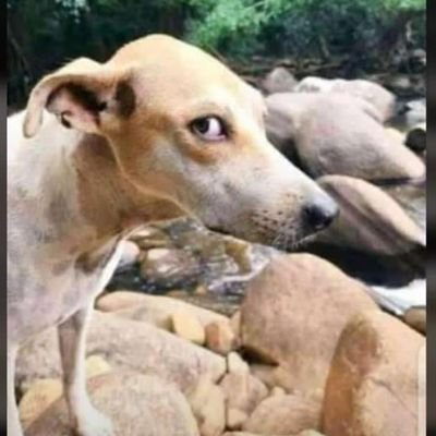 etse_eric's profile picture. Hard work leads to success