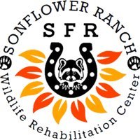 Sonflower(@SFRwildlife) 's Twitter Profile Photo