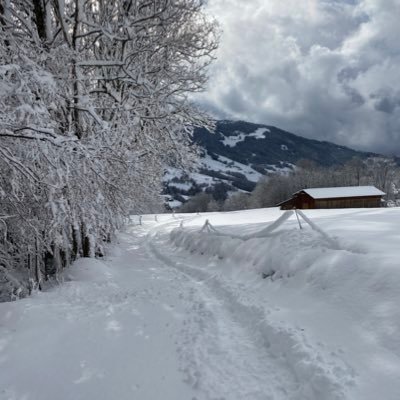 faischiers's profile picture. 