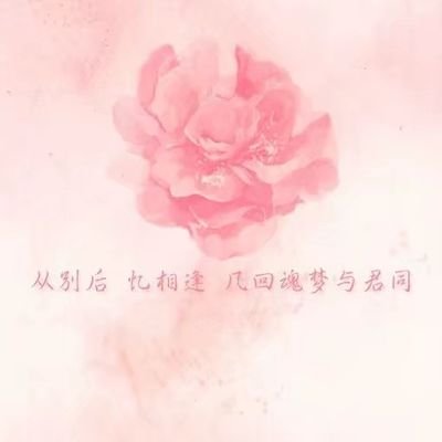 fywzwx's profile picture. 