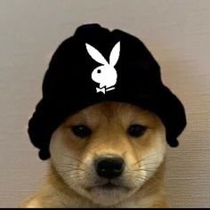 Pillox19Tv's profile picture. FA
pro player 
3x fncs semis qualifed