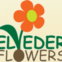 Belvedere Flowers(@BelvedereFlower) 's Twitter Profile Photo