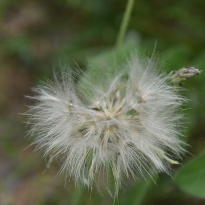 La vie est un livre, à. toi d’en écrire les pages….  Fan de photographie, de nature, de lecture, de culture et de jeux sous toutes leurs formes.