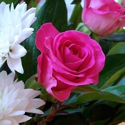 elru1989's profile picture. Am just me.