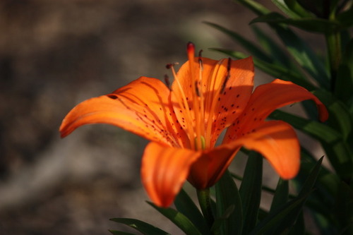 p65956595's profile picture. 내일은 오늘보다 더 즐겁고 행복하게...