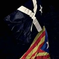 Pasqual Balañá Vives🎗️🎗️ (@pallarsibruce) 's Twitter Profile
