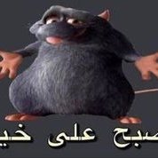 SiPapi65716250's profile picture. sdfgrtsdhgdfg