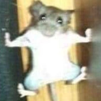 Muzz1226's profile picture. Sports