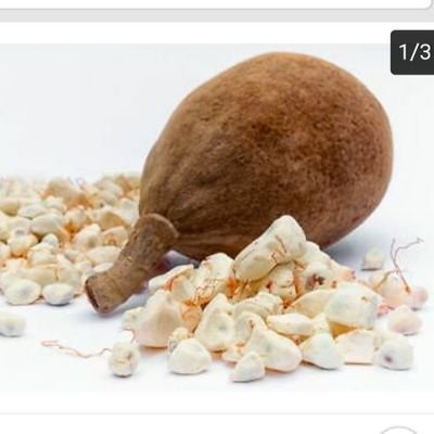 whinston10's profile picture. Self Employed and loving it!