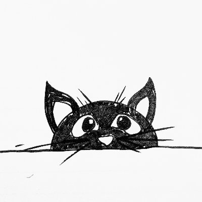 CuriousityThe's profile picture. Curious about anything