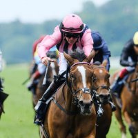 Lordship Stud (@lordshipstud) 's Twitter Profile Photo Lordship Stud (@lordshipstud) 's Twitter Profile Photo