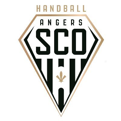 Bienvenue sur le compte officiel du Angers SCO Handball Association ! ⚫️⚪️