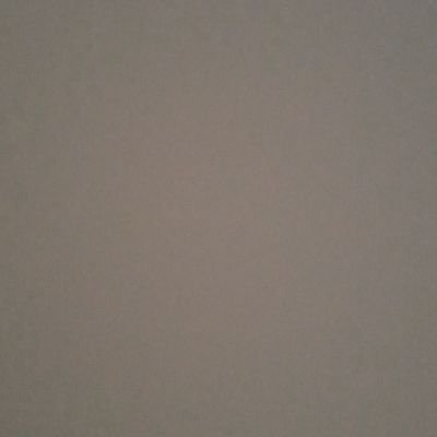 future123499's profile picture. 