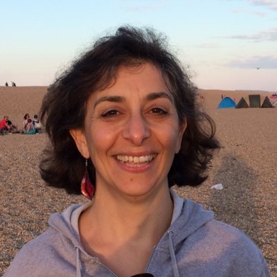 Dallal Stevens is Professor of Law at the University of Warwick, UK. She researches and writes on refugee and asylum law.