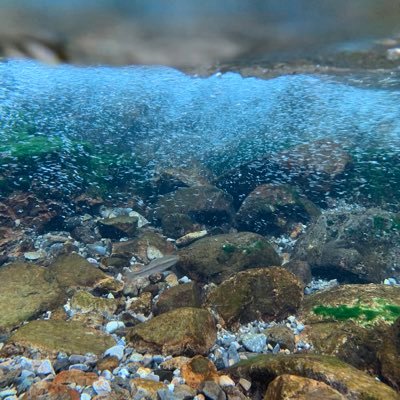 hy_cam2's profile picture. ビデオ屋さん