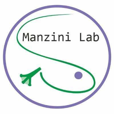 Manzini Lab 🐸