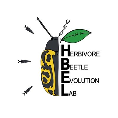 Leaf beetle biodiversity, evolution and other wonders