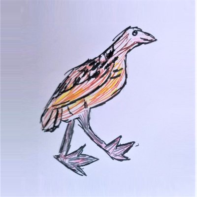 A place to share knowledge and raise awareness about the conservation of this noisy but rare wee bird - the #Corncrake !