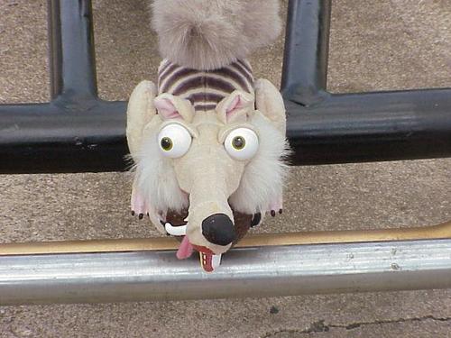 tracer34's profile picture. 