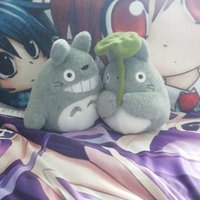Benji 「かわちぃべンジーちゃん」 (@benjami55868600) 's Twitter Profile