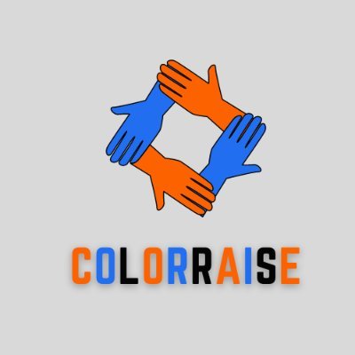 Our ColorRaise Mission is to Empower and Elevate People of Color by facilitating Improved Educational, Employment and Economic Outcomes.