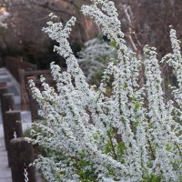 ケンタロー (@hou_on_kansha) Twitter profile photo