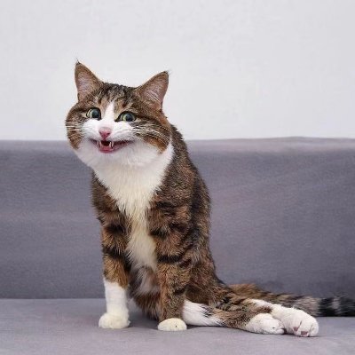 darkhuaz's profile picture. 