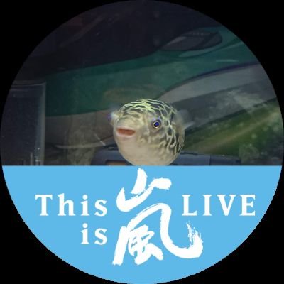 fnBv5AJQULsgPaw's profile picture. 嵐と🐡すきなまま