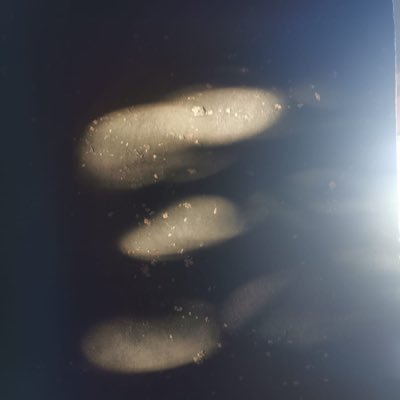 Nilly14729271's profile picture. Großartig