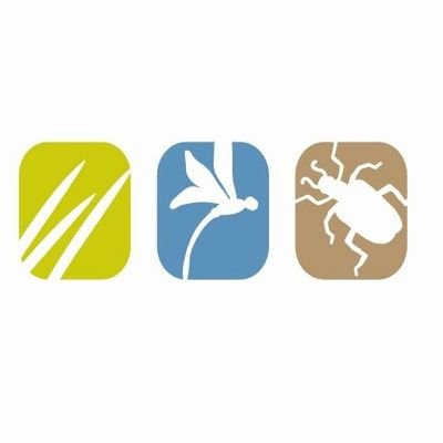 Projekt der NABU-Naturschutzstation Münsterland und des Zentrums für Biodiversitätsmonitoring am LIB-Museum Koenig #bundesprogrammbiologischevielfalt