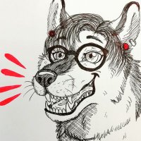 Cate 🐺 @catewolf.bsky.social (@catewolf_) 's Twitter Profile