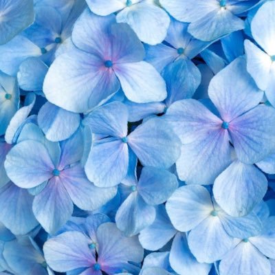 Cumu_photo's profile picture. Photo/Contact→DM