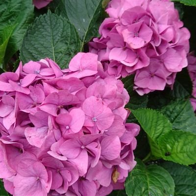 Oniee46fZjRv1qO's profile picture. 神奈川県在住の40代後半、独身。最近、ブログ「https://t.co/JXj182BiRK」を開設し、駅スタンプ収集や日々の出来事を綴っています。駅スタンプを通して日本各地を巡り、その魅力を発信していきます。メンズエステに通うなど、自分磨きも怠りません。