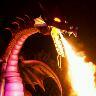 MurphyTDragon's profile picture. im a 45 foot tall fire breathing anamatronic dragon. what more do you want?