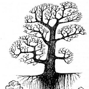 OctoberCronopio's profile picture. the story of strangers finding trees in invisible cities