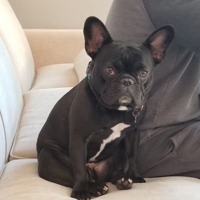 d1zzymisslizzie's profile picture. .