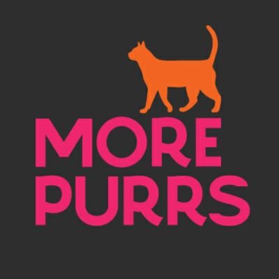 more_purrs's profile picture. The blog your cat would approve of 🐈💕
#CatsinControl (not clothes)